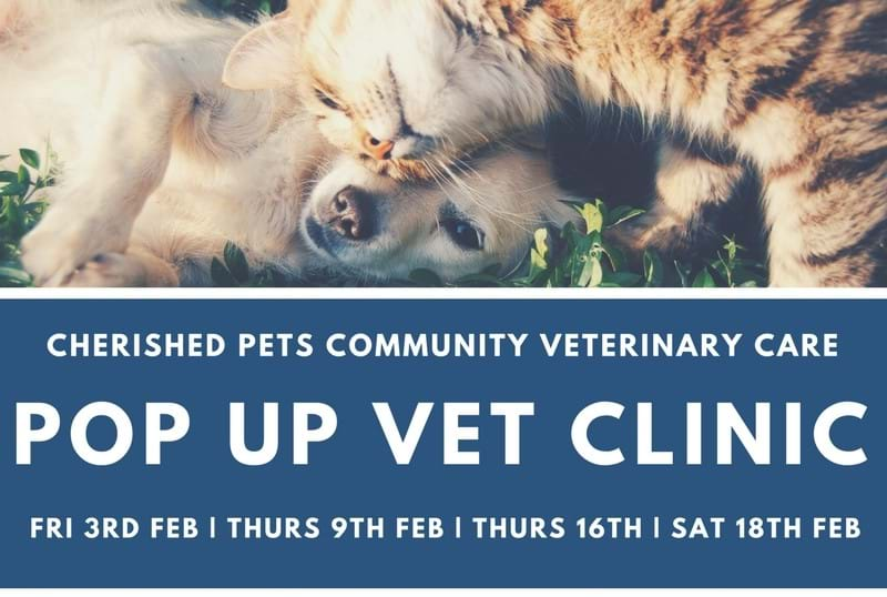 Pop up sales vet clinic